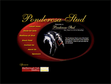 Tablet Screenshot of ponderosastud.com